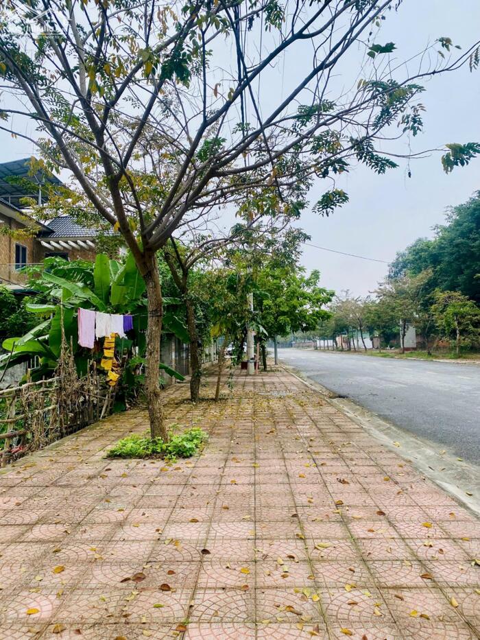 Hình ảnh Bán đất đấu giá khu ban chỉ huy quân sự Tỉnh,, Đồng Tâm, Vĩnh Yên. Đường 19,5m 2