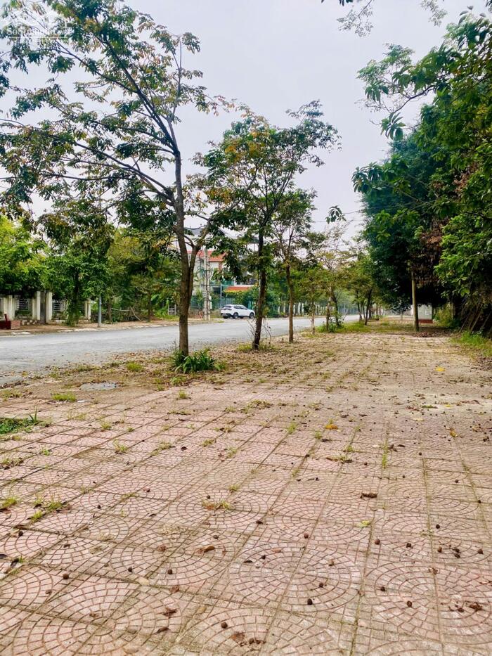 Hình ảnh Bán đất đấu giá khu ban chỉ huy quân sự Tỉnh,, Đồng Tâm, Vĩnh Yên. Đường 19,5m 1