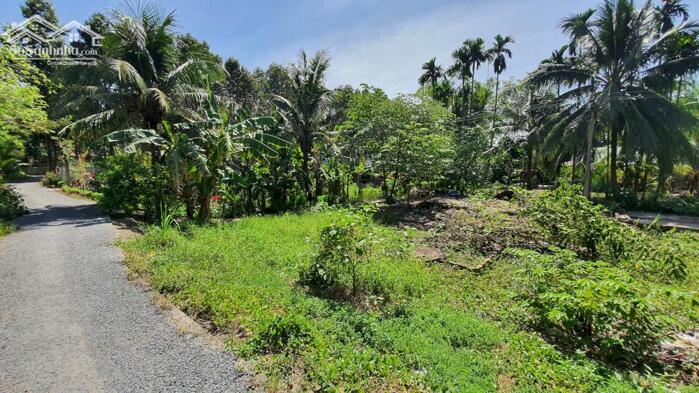 Hình ảnh Bán 1 cặp nền ODT đường Đông Thành-Hóa Thành, Bình Minh, Vĩnh Long 3