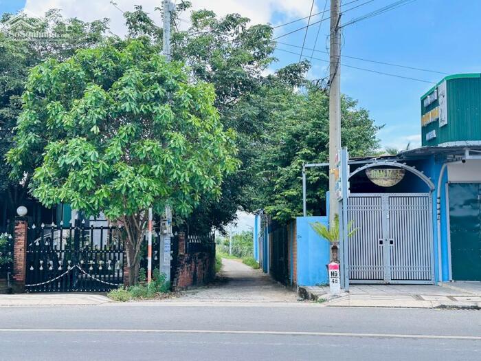 Hình ảnh 6X38(231M2) Full Thổ Cư, Hẻm Lý Thái Tổ Tân Tiến View Biển 1