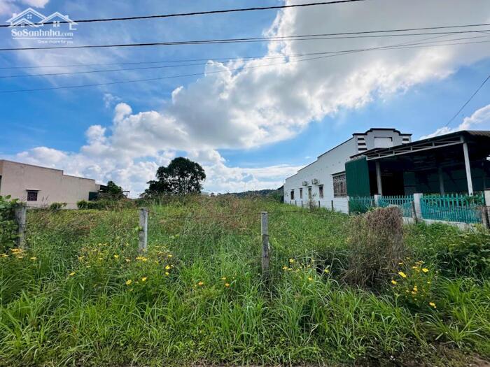 Hình ảnh 6X38(231M2) Full Thổ Cư, Hẻm Lý Thái Tổ Tân Tiến View Biển 2