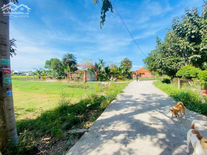 Hình ảnh 14,8x39(640m2) 120m2 TC Hẻm Tôn Đức Thắng Tân Phước LaGi Gần Biển 0