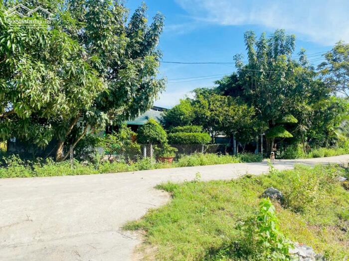 Hình ảnh 14,8x39(640m2) 120m2 TC Hẻm Tôn Đức Thắng Tân Phước LaGi Gần Biển 2