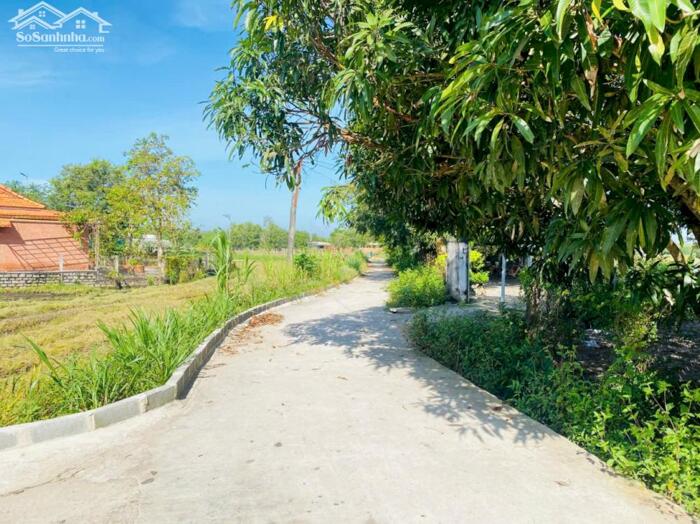 Hình ảnh 14,8x39(640m2) 120m2 TC Hẻm Tôn Đức Thắng Tân Phước LaGi Gần Biển 1