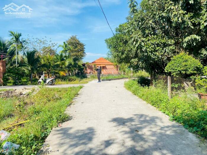 Hình ảnh 14,8x39(640m2) 120m2 TC Hẻm Tôn Đức Thắng Tân Phước LaGi Gần Biển 4