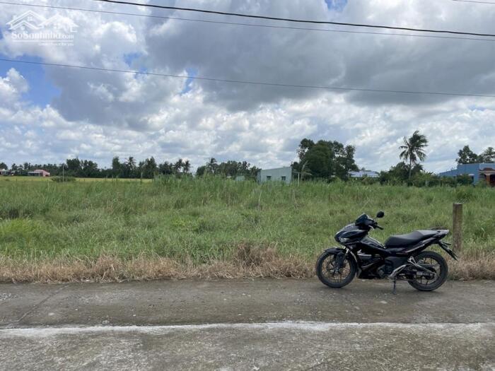 Hình ảnh 400tr Đất full thổ cư gần Cầu Mỹ Lợi, Bình Đông, TP Gò Công, Tiền Giang 1