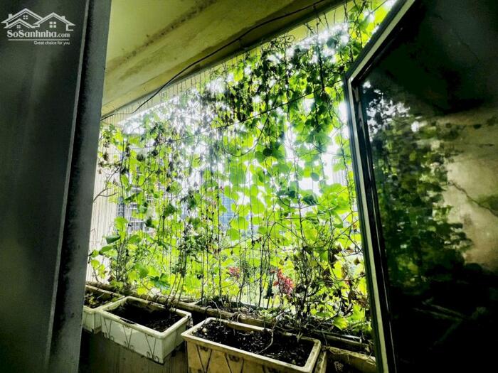 Hình ảnh cho thuê chung cư B6A nam trung yên, 85m 3 phòng ngủ, đủ đồ 14 triệu 1