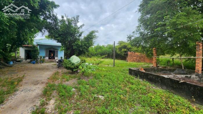 Hình ảnh bán đất thổ cư 1500m2 nở hậu hẻm tôn đức thắng, phước hội, lagi. giá rẻ 1