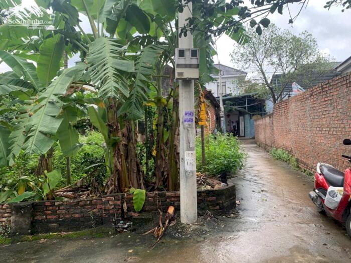 Hình ảnh Bán đất Trạch Mỹ Lộc – ô tô vào – gần chợ – Giá chỉ 1.85 tỷ có thương lượng 4