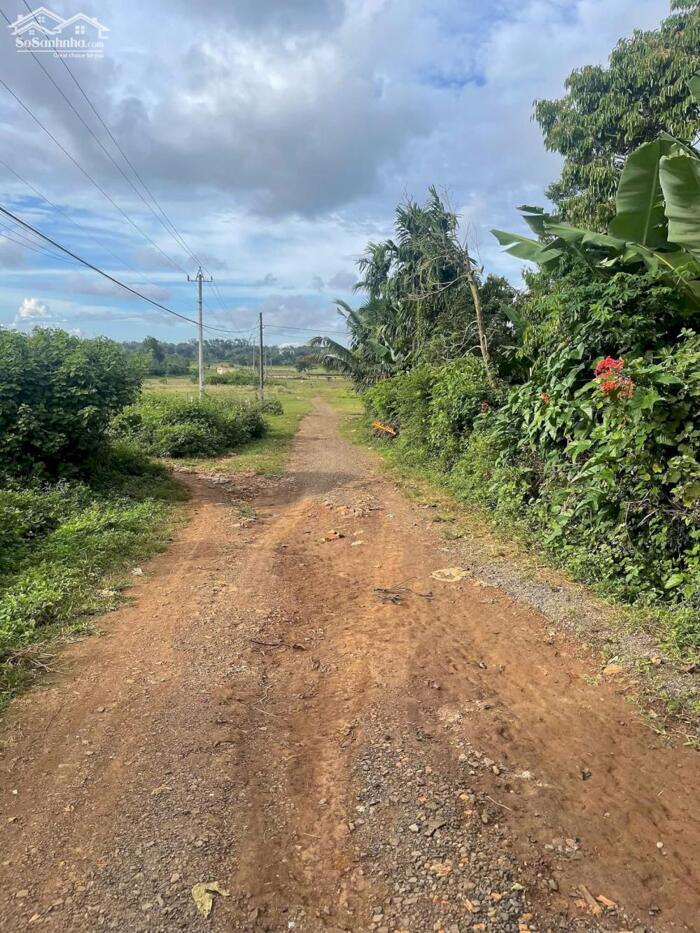 Hình ảnh Lộc 10 Lô Buôn Tara Cách Quốc Lộ Tầm 1,5Km 5X23M Tc100% Chỉ 495 Triệu Quỳnh Anh 1