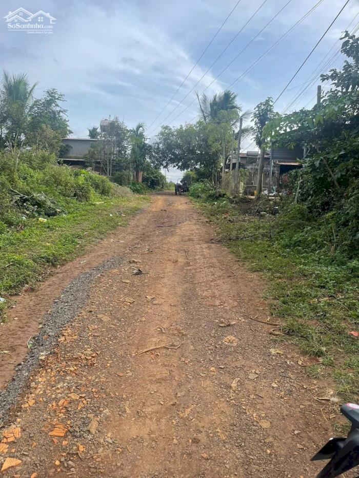 Hình ảnh Lộc 10 Lô Buôn Tara Cách Quốc Lộ Tầm 1,5Km 5X23M Tc100% Chỉ 495 Triệu Quỳnh Anh 0