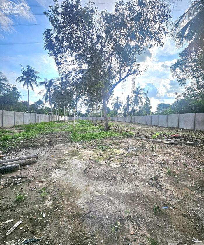 Hình ảnh Bán đất thổ cư lộ ôtô gần quốc lộ 80, Vĩnh Long 5