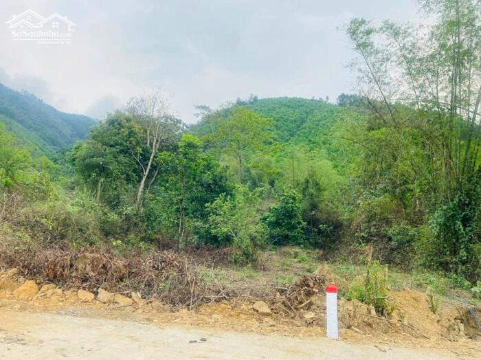 Hình ảnh BÁN LÔ ĐẤT VIEW ĐẸP – GIÁ TỐT TẠI KIM BÔI – HÒA BÌNH 6