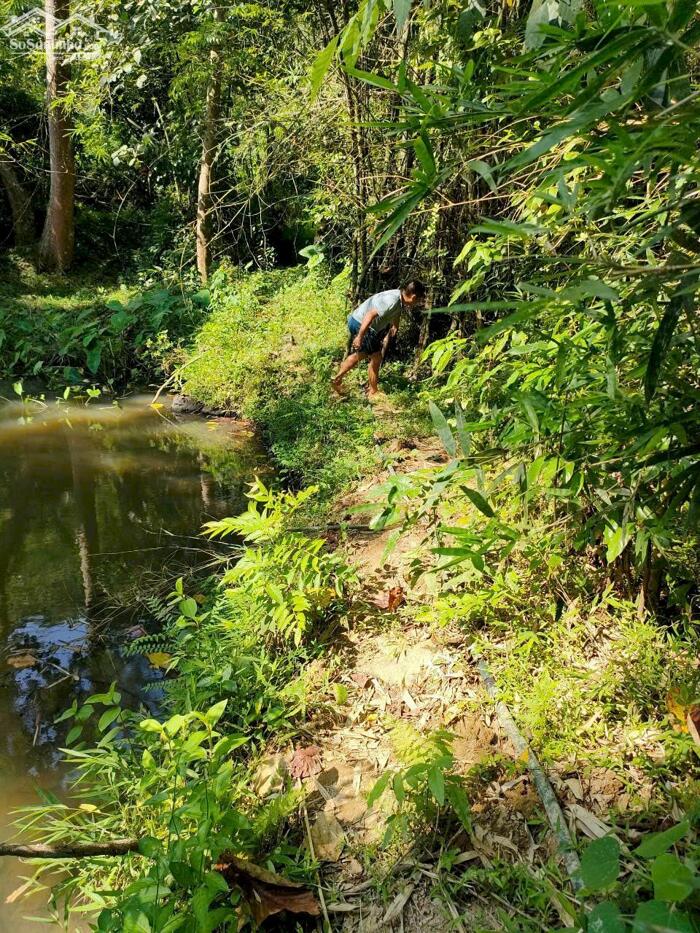 Hình ảnh BÁN LÔ ĐẤT VIEW ĐẸP – GIÁ TỐT TẠI KIM BÔI – HÒA BÌNH 3