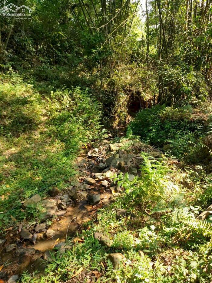 Hình ảnh BÁN LÔ ĐẤT VIEW ĐẸP – GIÁ TỐT TẠI KIM BÔI – HÒA BÌNH 10