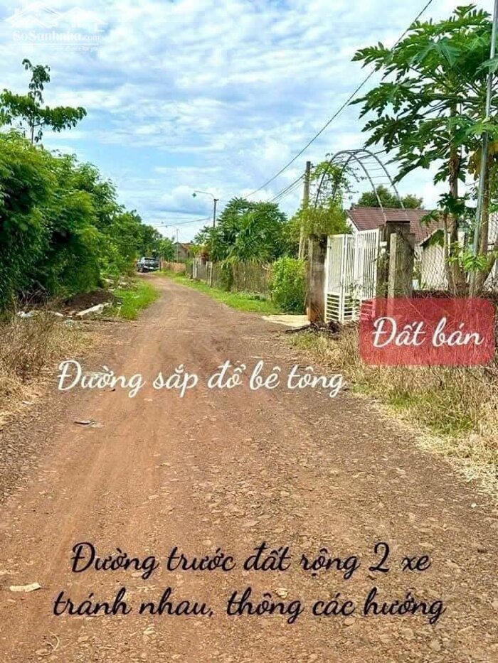 Hình ảnh Ea Ning- Cư Kuin- Đắ kLắk dt 5*50m thổ cư 60m2 view hồ trên đất full trái cây chỉ 2xxtr 0