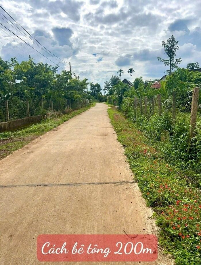 Hình ảnh Ea Ning- Cư Kuin- Đắ kLắk dt 5*50m thổ cư 60m2 view hồ trên đất full trái cây chỉ 2xxtr 1