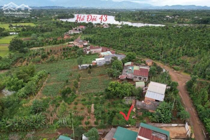 Hình ảnh Ea Ning- Cư Kuin- Đắ kLắk dt 5*50m thổ cư 60m2 view hồ trên đất full trái cây chỉ 2xxtr 2