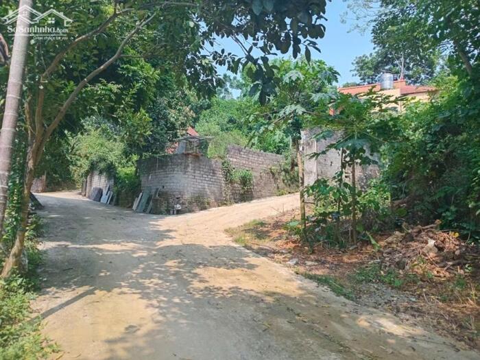 Hình ảnh Đất Tiên Phương Chương Mỹ Hà Nội. Mảnh đất gần 1500m² có 600m² thổ cư, đường ô tô, giá rẻ 0