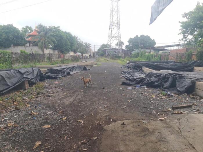 Hình ảnh Chính Chủ Cho Thuê Bãi Xe Container QL1A Bình Tân. Dt: 4000m 1