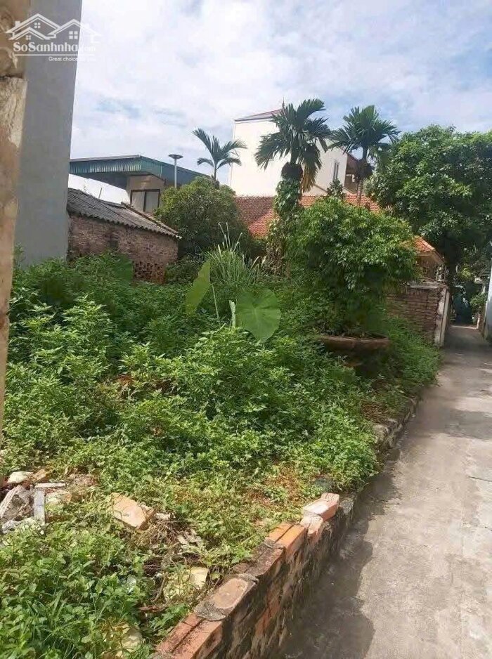 Hình ảnh Đất đẹp - vị trí đắc địa - Giá cực tốt 50m nhỉnh 4 tỷ gần ngã tư Trôi 3