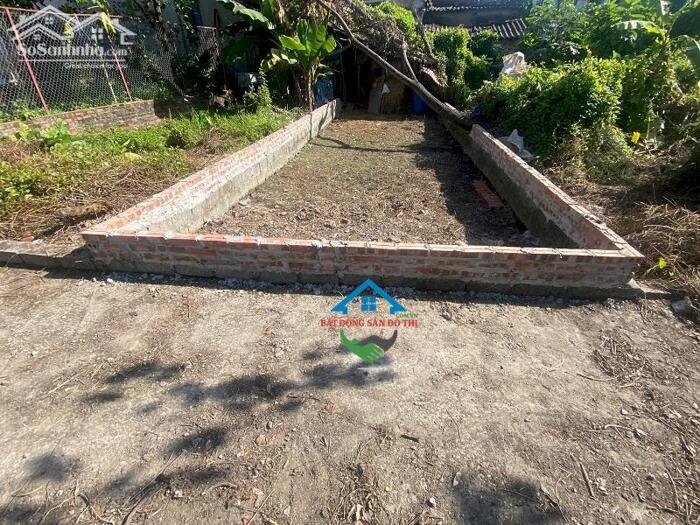 Hình ảnh Bán đất Hưng Giáo Tam Hưng Thanh Oai, 50m2 vuông vắn, cạnh trường học, khu vui chơi 2