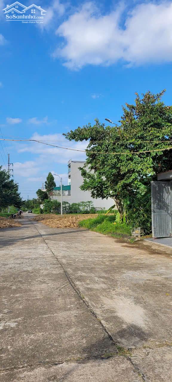 Hình ảnh Bán đất May Mặc, Kim Long, tam dương, Vĩnh phúc 1