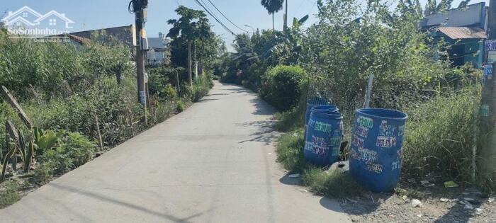 Hình ảnh Đất thổ cư 1/Hà Duy Phiên-Bình Mỹ-Củ Chi.Dt 123m2~2,2ty 4