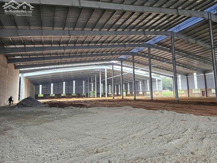 Hình ảnh Cho Thuê 8.300m2 – 16.000m2 – 50.000m2 Nhà Xưởng Trong KCN Bình Dương 2