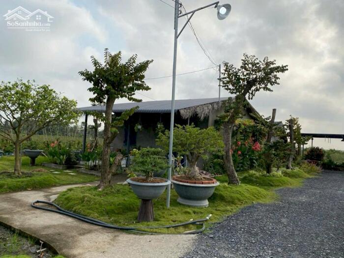 Hình ảnh Hơn mẫu đất Mt Nguyễn Văn Quá, Lợi Bình Nhơn TP Tân An 4