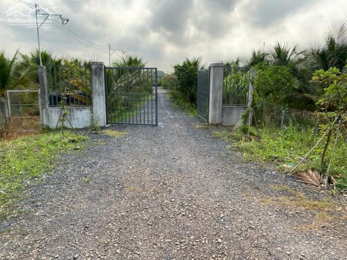 Hình ảnh Hơn mẫu đất Mt Nguyễn Văn Quá, Lợi Bình Nhơn TP Tân An 0