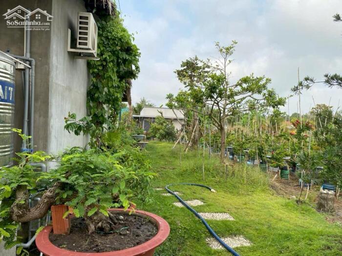 Hình ảnh Hơn mẫu đất Mt Nguyễn Văn Quá, Lợi Bình Nhơn TP Tân An 7