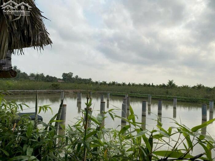 Hình ảnh Hơn mẫu đất Mt Nguyễn Văn Quá, Lợi Bình Nhơn TP Tân An 6