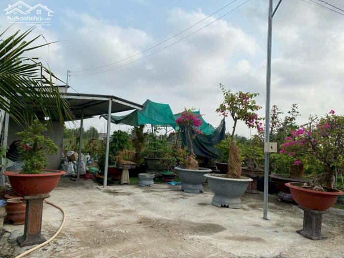 Hình ảnh Hơn mẫu đất Mt Nguyễn Văn Quá, Lợi Bình Nhơn TP Tân An 2