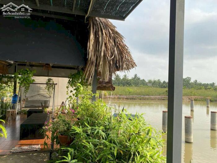 Hình ảnh Hơn mẫu đất Mt Nguyễn Văn Quá, Lợi Bình Nhơn TP Tân An 8