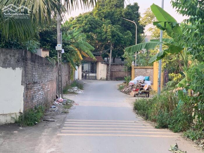 Hình ảnh Bán lô 115m2, mt 6m View cánh đồng sau trường Tiểu Học lh_0987673102 2