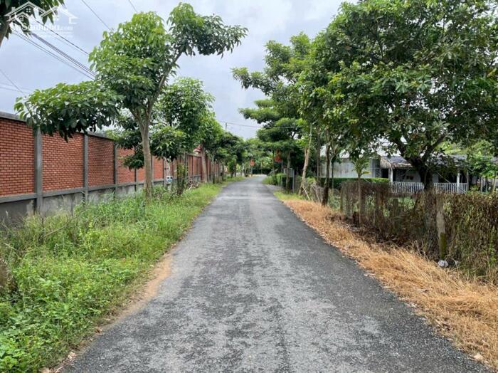 Hình ảnh 2 công đất Mt đường Lê Thị Trâm, Nhơn Thạnh Trung TP Tân An 0