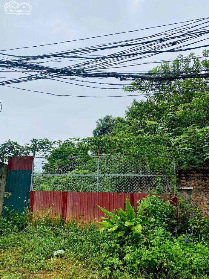 Hình ảnh Bán đất kinh doanh mặt đường rộng 36m tại Trại Giao, Khai Quang, Vĩnh Yên. DT 165m2. 0