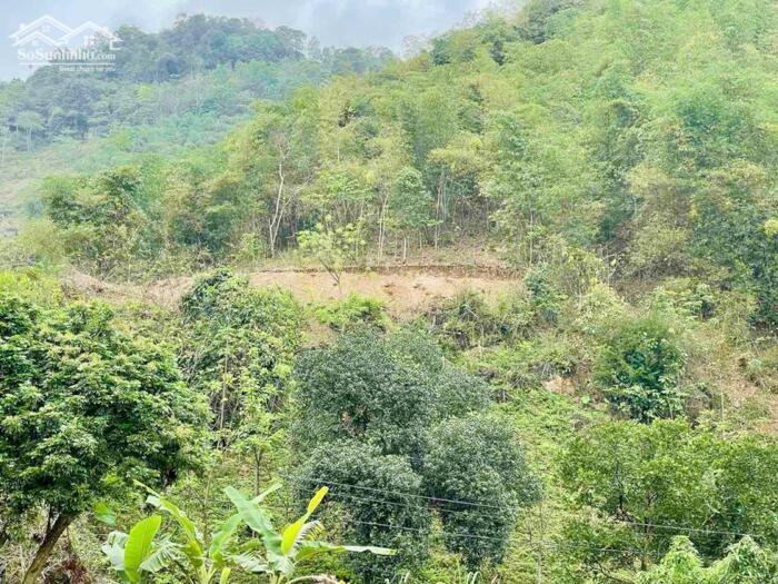 Hình ảnh bán gấp lô đất view hồ hồ hòa bình vị trí đà bắc 4