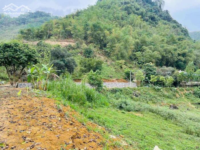 Hình ảnh bán gấp lô đất view hồ hồ hòa bình vị trí đà bắc 6