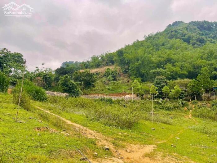 Hình ảnh bán gấp lô đất view hồ hồ hòa bình vị trí đà bắc 2