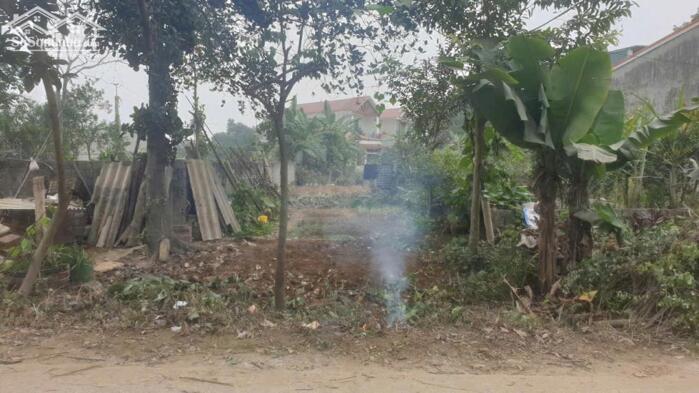 Hình ảnh Bán lô đất 100m² mặt đường chính kinh doanh khu phân lô ck2 Xuân Mai, Thủy Xuân Tiên, Chương Mỹ, Hà Nội 2