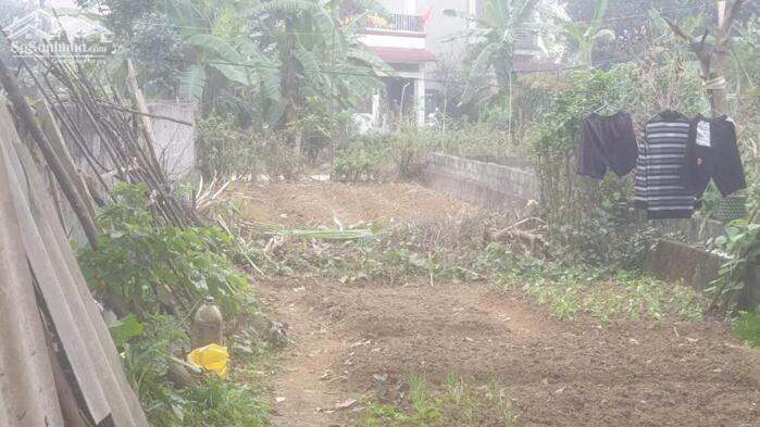 Hình ảnh Bán lô đất 100m² mặt đường chính kinh doanh khu phân lô ck2 Xuân Mai, Thủy Xuân Tiên, Chương Mỹ, Hà Nội 1