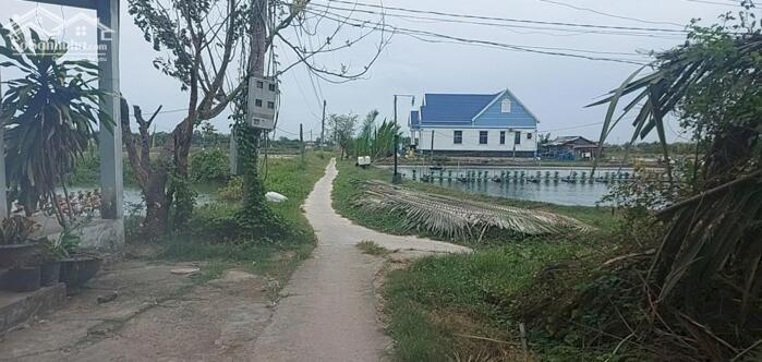 Hình ảnh Hàng ngộp xả gấp 2485m2 đất lúa mt Sông Vàm Cỏ hết sổ 550tr 0