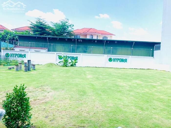 Hình ảnh Đất Xây Cao Hầm 7 Tầng 470m2(20mx23,4m) Ngay Nguyễn Văn Hưởng,Thảo Điền-Quận 2 3