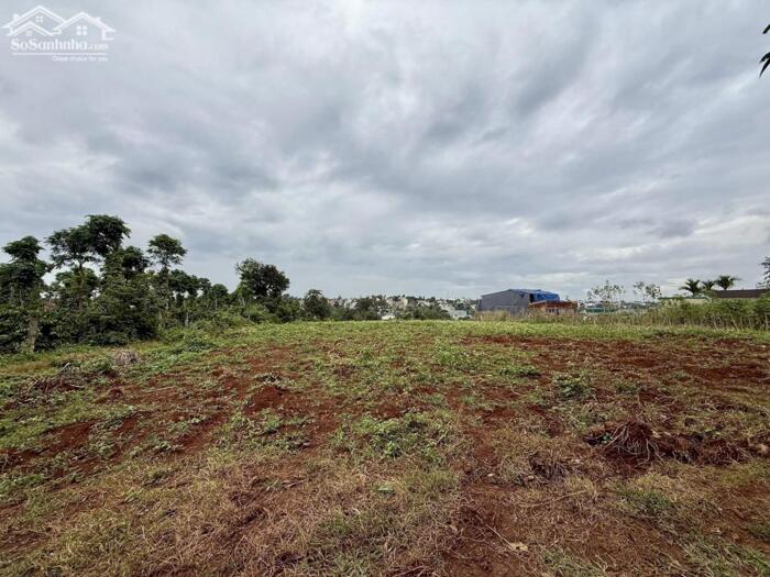 Hình ảnh Đất Nn View Trên Cao Hẻm 327 Y Moal 42X20M Giá 3,7 Tỷ Khu Dân Cư Quỳnh Anh 2