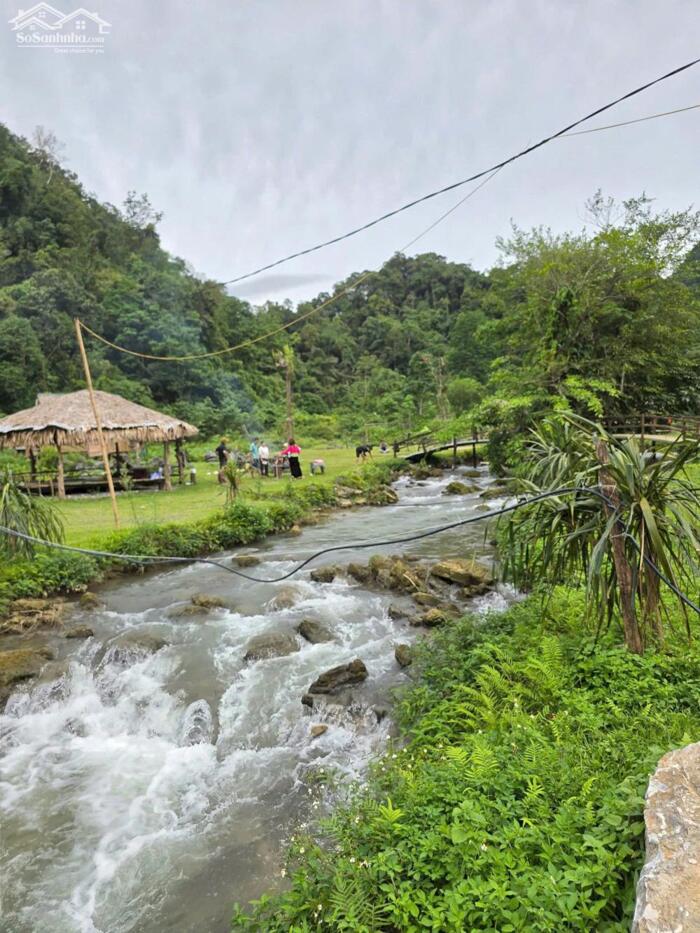 Hình ảnh CHỐN BỒNG LAI TIÊN CẢNH LÀ ĐÂY CHỨ ĐÂU... 7