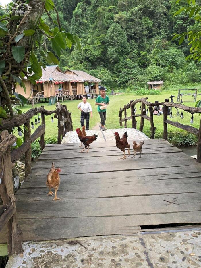 Hình ảnh CHỐN BỒNG LAI TIÊN CẢNH LÀ ĐÂY CHỨ ĐÂU... 5