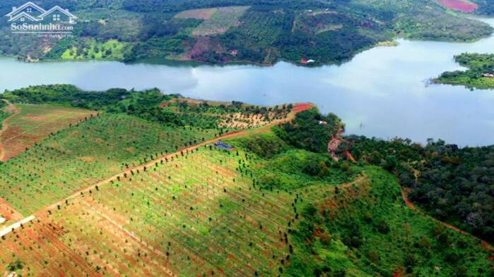 Hình ảnh 14ha view hồ tự nhiên đẹp,xe cont vào tận nơi,giá rẻ nhất khu vực 1