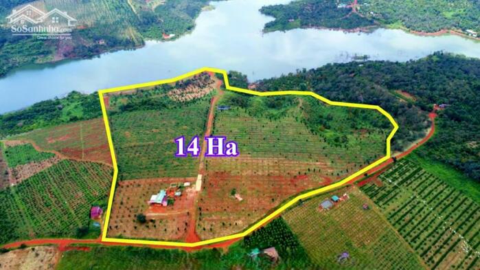 Hình ảnh 14ha view hồ tự nhiên đẹp,xe cont vào tận nơi,giá rẻ nhất khu vực 0